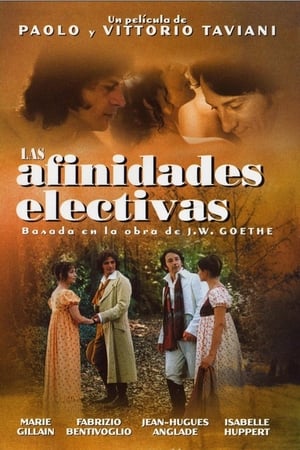 Poster Las afinidades electivas 1996