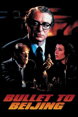 Poster Bullet to Beijing 1995