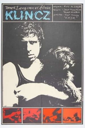 Poster Klincz 1979