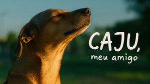 Caju, Meu Amigo