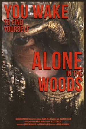 You Wake to Find Yourself Alone in the Woods