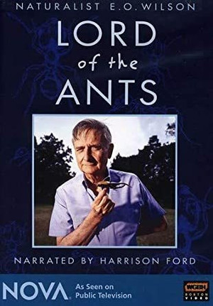 Lord of the Ants (2008)