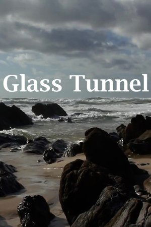 Image Glass Tunnel