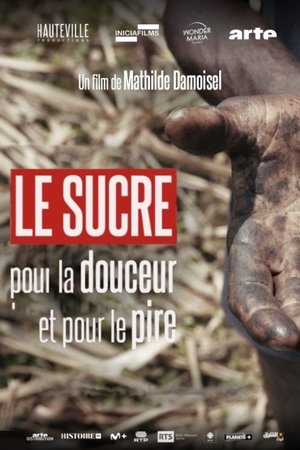 Le sucre, pour la douceur et pour le pire (2025)