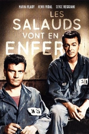 Poster Les salauds vont en enfer 1955