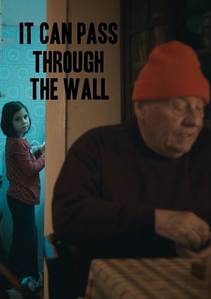 Poster It Can Pass Through the Wall (2014)