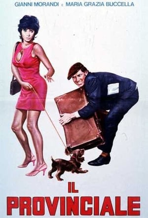 Poster Das Callgirl und die Liebe 1971