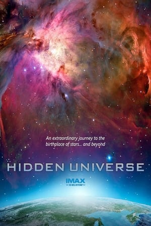 Poster Hidden Universe (2013)