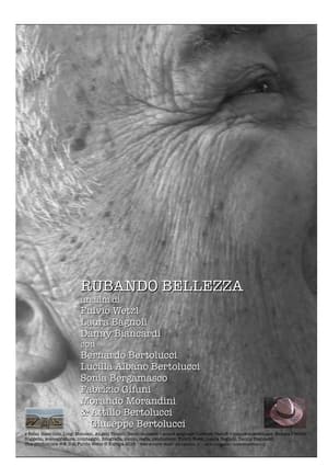 Poster Rubando Bellezza (2015)