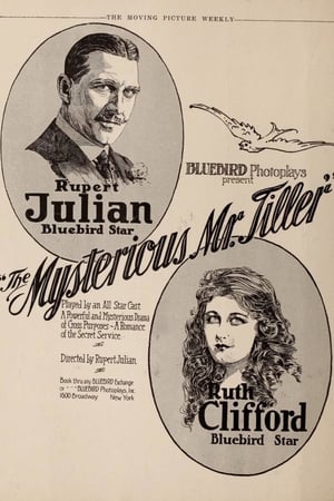 Poster The Mysterious Mr. Tiller (1917)