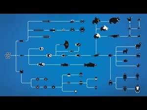 Kurzgesagt - In a Nutshell How Evolution Works