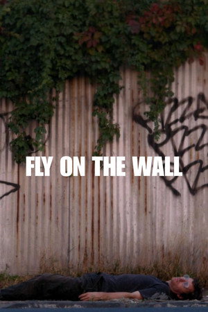 Fly on the Wall