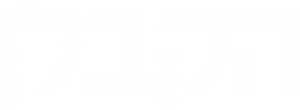 Agente X: Última misión — Logos 12