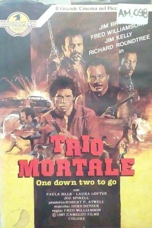 Poster Trio mortale 1982