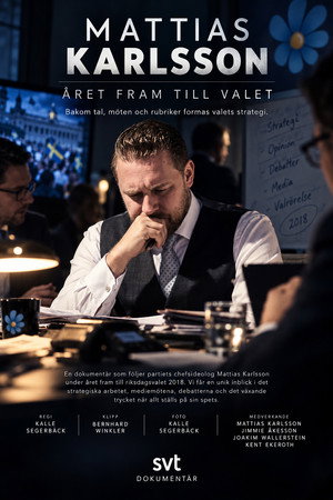 Mattias Karlsson: Året fram till valet