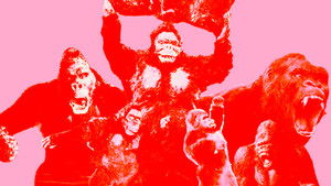 The Legend of King Kong