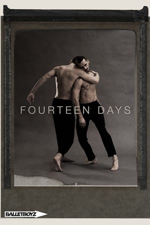 Poster Fourteen Days (2017)