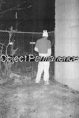 Poster Object Permanence