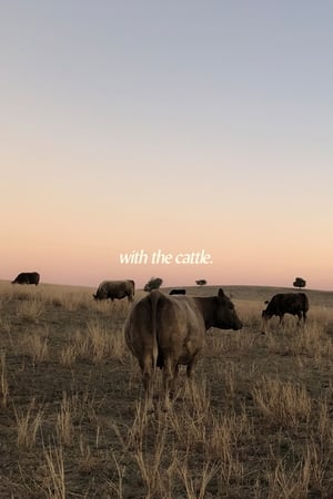 Poster With the Cattle 2021