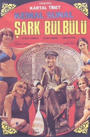 Şark Bülbülü poster