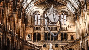 Natural History Museum: World of Wonder Episode 1