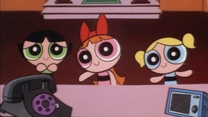 The Powerpuff Girls The Bare Facts