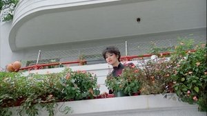 Love Circles ( 1985 )