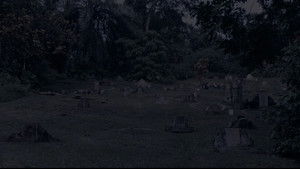 Where Have You Gone, Girl?