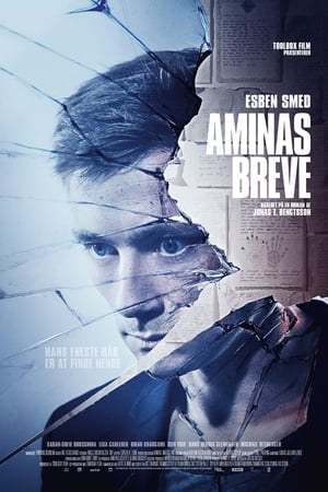 Letters to Amina poster