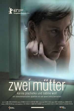 Poster Zwei Mütter 2013