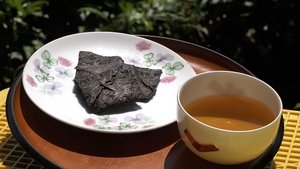 Journeys in Japan: 11×15