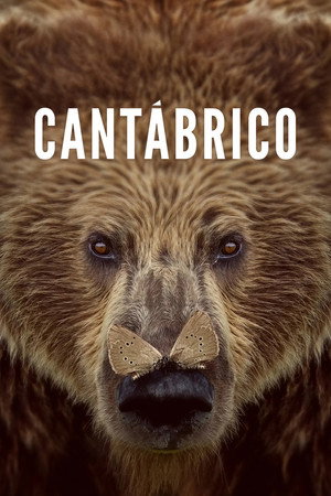 Cantábrico 7
