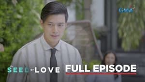 The Seed of Love: Season 1 Full Episode 13