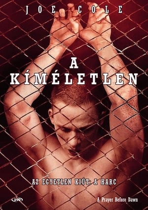 A kíméletlen (2018)