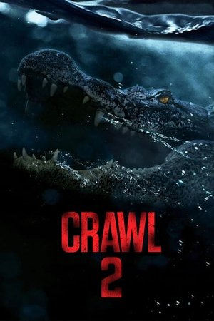 Image Crawl 2