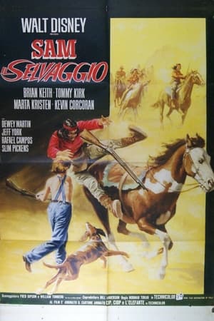 Poster Sam il selvaggio 1963