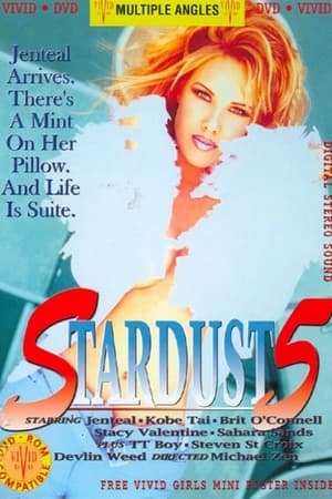 Poster Stardust 5 (1995)