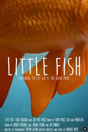 Poster Little Fish 2017