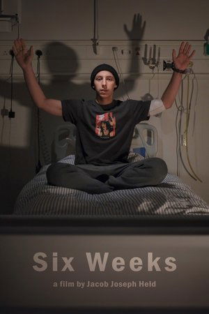 Nonton film Six Weeks (2025) terbaru sub indo Nonton film Six Weeks (2025) terbaru sub indo