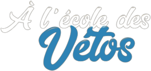 A l'école des vétos