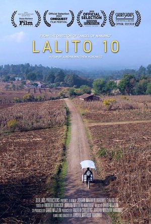 Poster di Lalito 10