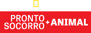 Pronto-Socorro Animal — Logos 1