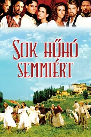 Sok hűhó semmiért 1993