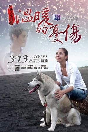 Poster Wen Nuan De You Shang (2011)