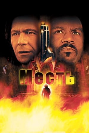 Poster Месть 2003