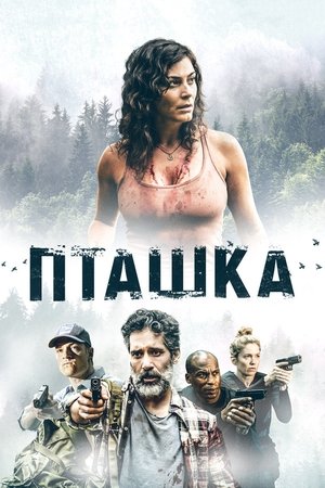 Poster Пташка 2019