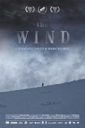 Poster Wiatr. Thriller dokumentalny 2019