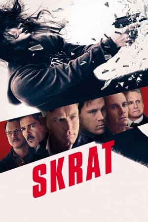 Poster Skrat 2011