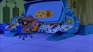 Tom And Jerry: 3×40