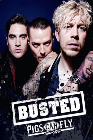 Poster Busted: Pigs Can Fly Tour 2016 (2018)